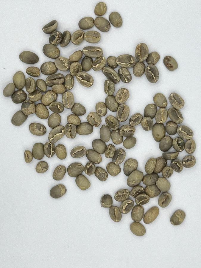 Red Sea Import Export Co. gallery photo 9